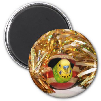 Parakeet Christmas Magnet by deemac1 at Zazzle