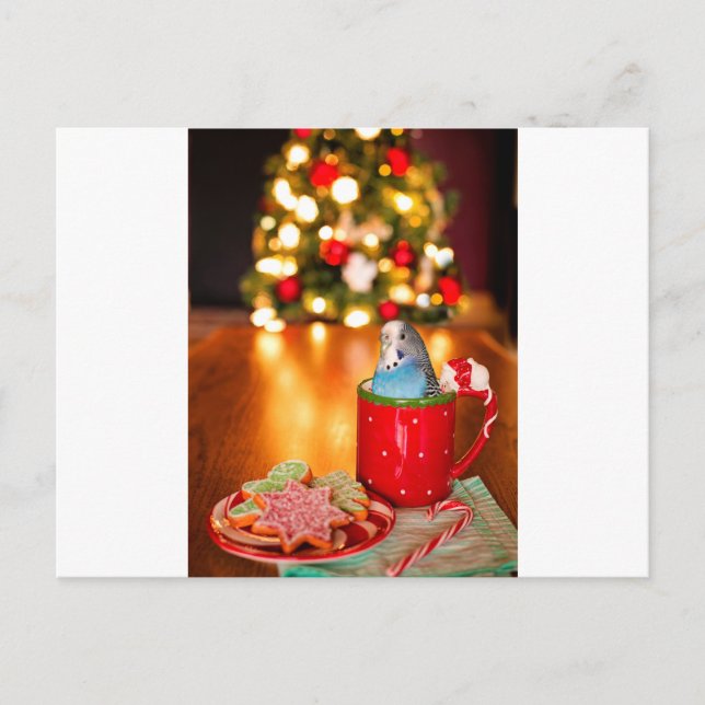 Parakeet Christmas Postcard (Front)