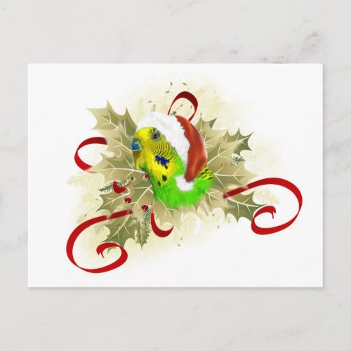 Parakeet Christmas Postcards