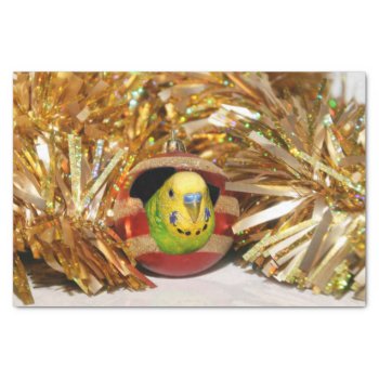 Parakeet Christmas Tissue Paper by deemac1 at Zazzle
