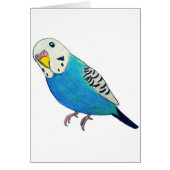Parakeet Drawing (Front)