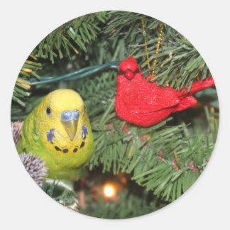 Parakeet in a Christmas tree Classic Round Sticker
