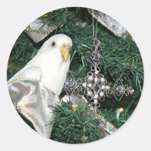 Parakeet in a Christmas tree Classic Round Sticker