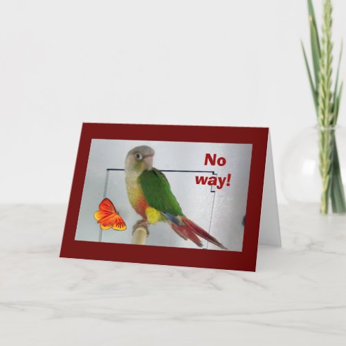 PARAKEET IS MAD YOU LOOK SO GOOD OVER THE HILL CARD