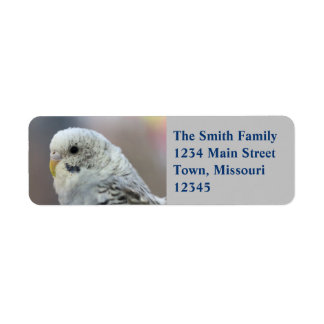 Parakeet Label
