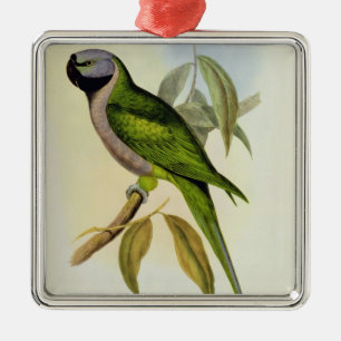 Parakeet: Palaeornis Derbianus, c.1850 Metal Ornament