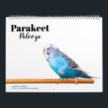 Parakeet Palooza Calendar<br><div class="desc">Get ready for a burst of vibrant feathers and playful charm with our "Parakeet Palooza" calendar. This delightful collection showcases adorable photographs of beautiful budgie parakeets, capturing their colorful personalities in every frame. Each month brings a new set of charming poses, from curious antics to heartwarming moments of avian camaraderie....</div>