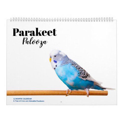 Parakeet Palooza Calendar