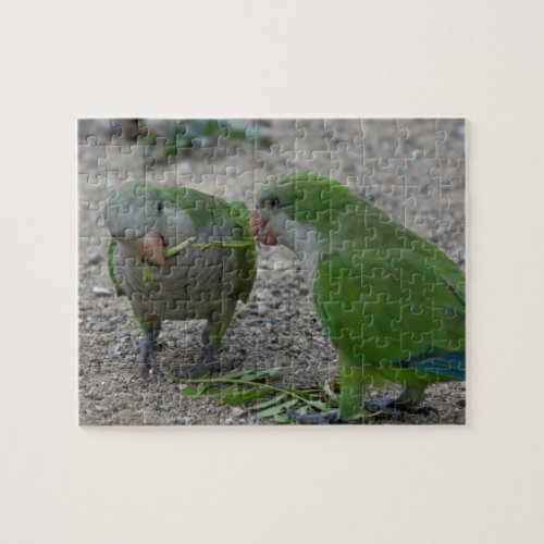 parakeet parrot on its perch jigsaw puzzle