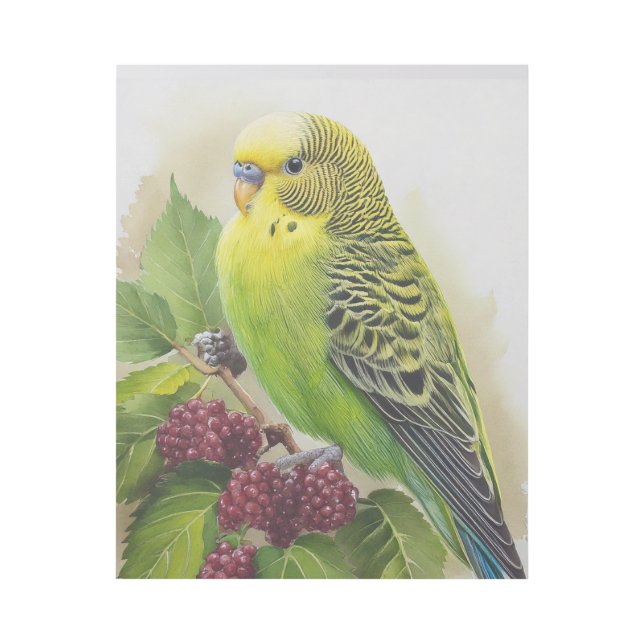 Parakeet Perched in a Mulberry Tree Gallery Wrap (Front)
