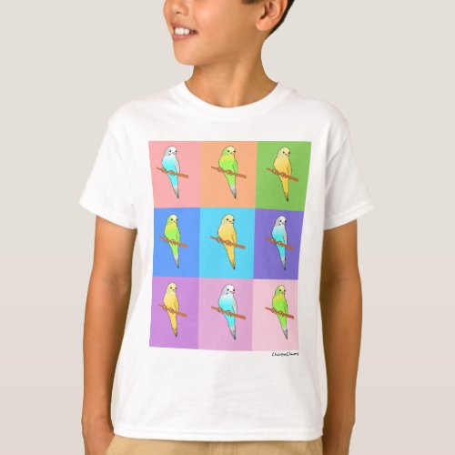 Parakeet Rainbow Rectangles T_Shirt