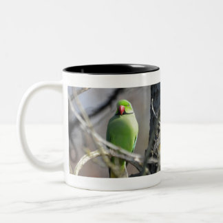 Parakeet Two-Tone Coffee Mug