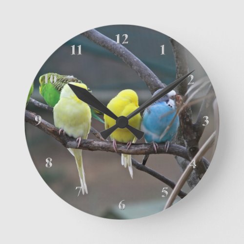 Parakeets Budgies Parrots Birds Bright Bird Lovers Round Clock