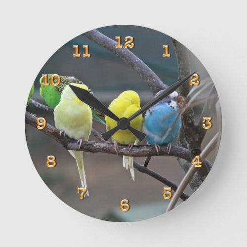 Parakeets Budgies Parrots  Birds Photo Nature Round Clock
