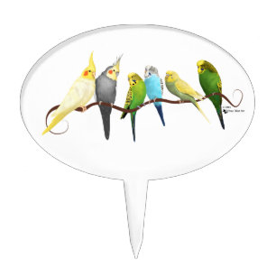 Parakeets & Cockatiels! Cake Topper