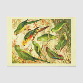 Parakeets, Decoupage Tissue Paper