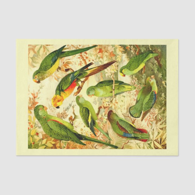 Parakeets, Decoupage Tissue Paper (Front)