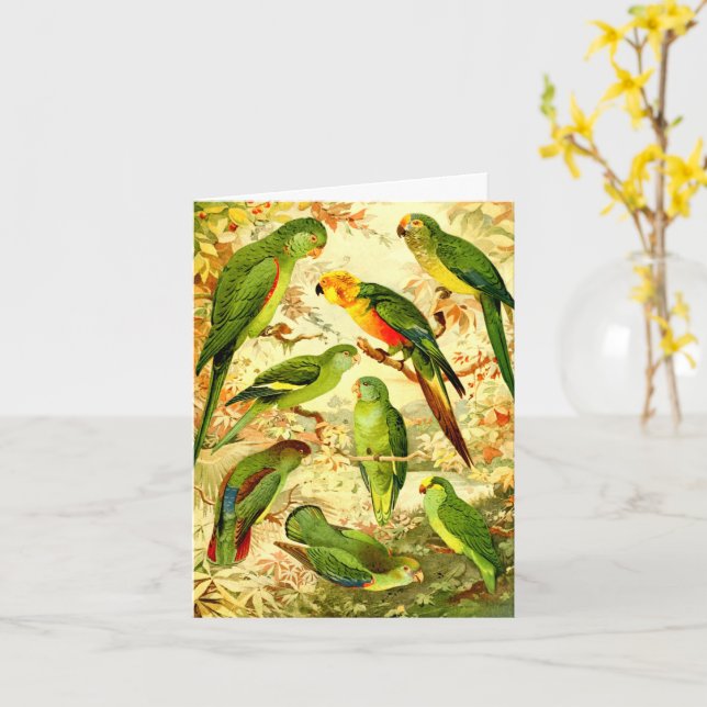 Parakeets, Happy birthday  Card (Yellow Flower)