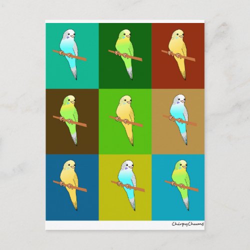 Parakeets in Earth toned Squares Postcard