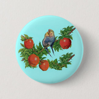 parakeets in love button
