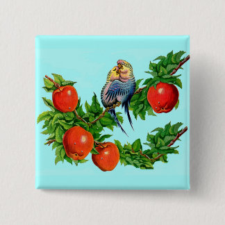 parakeets in love button