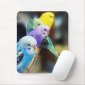 Parakeets mousepad | Zazzle