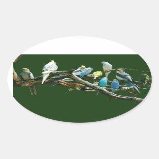 Parakeets N Cockatiels Oval Sticker