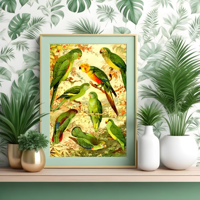 Parakeets, vintage birds illustration poster (Creator Uploaded)