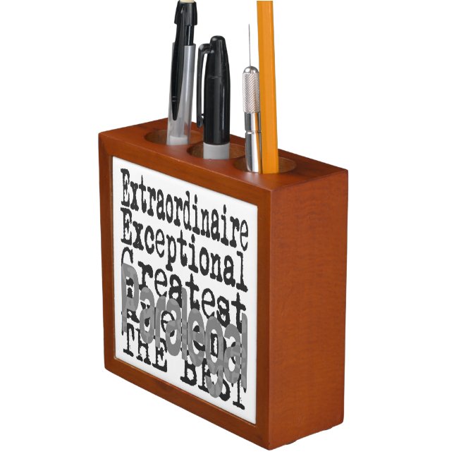 Paralegal Extraordinaire Desk Organizer (In Situ)