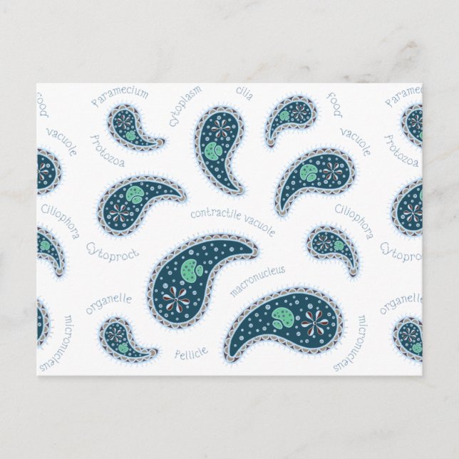 Paramecia Paisley Customizable Biology Custom Postcard (Front)