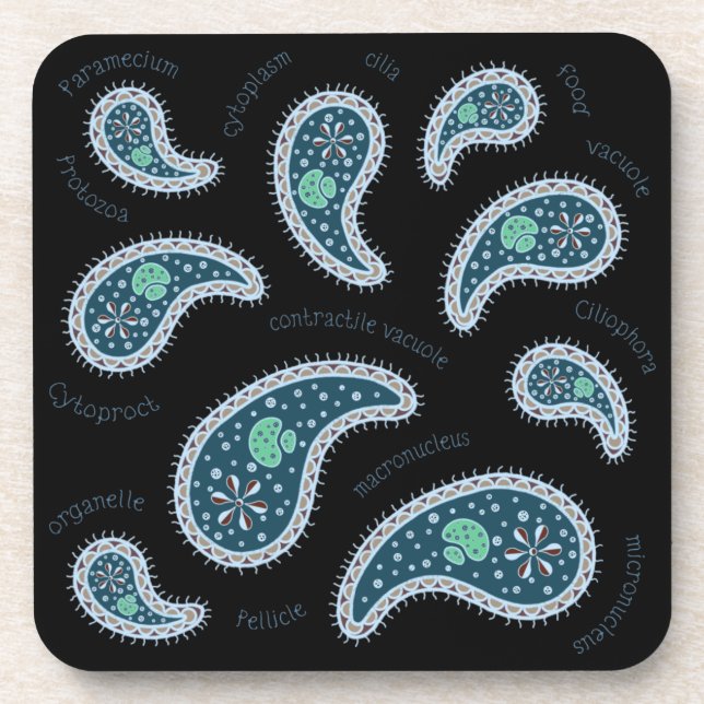 Paramecia Paisley Protozoan Biology Science Black Beverage Coaster (Front)