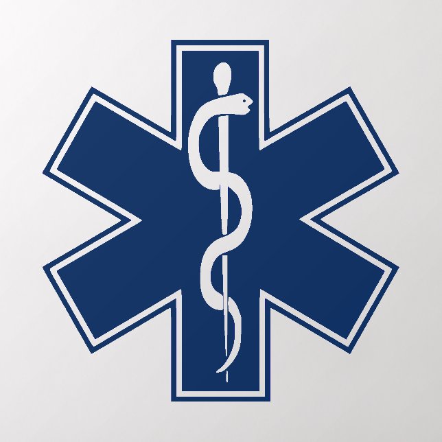 Paramedic EMT EMS Wall Decal (Insitu 2)