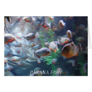 Parana Cards