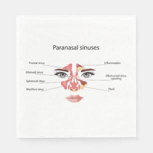Paranasal sinuses  napkins