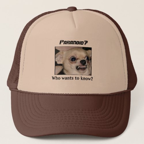 Paranoid Chihuahua keep a Cap on