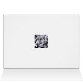 Paranormal Investigator (Inside Horizontal (Top))