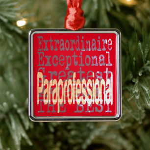 Paraprofessional Extraordinaire Metal Ornament