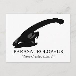 Parasaurolophus Skull Postcard