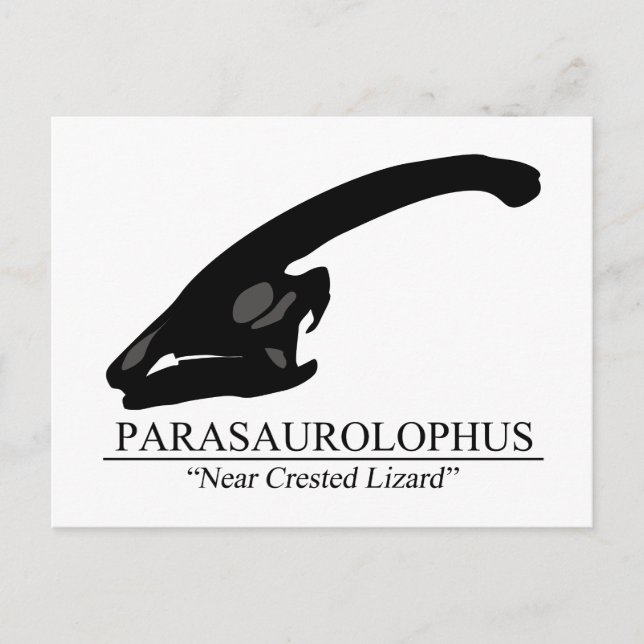 Parasaurolophus Skull Postcard (Front)