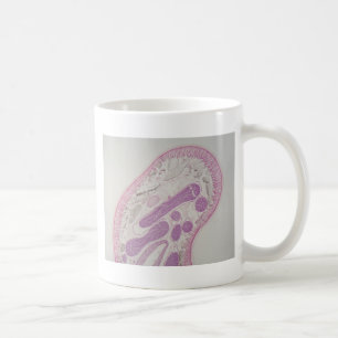 Parasitic nematode worm (Ascaris sp.) Coffee Mug
