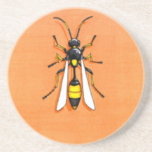 Parasitic Wasp on a Coaster