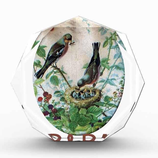 Parched Parents, Precious Chicks: A Nature's Story Award (Front)