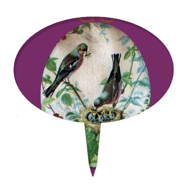 Parched Parents, Precious Chicks: A Nature's Story Cake Topper (Front)