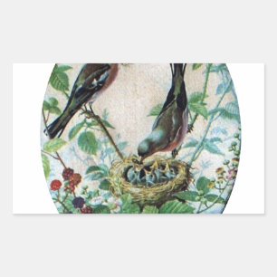 Parched Parents, Precious Chicks: A Nature's Story Rectangular Sticker