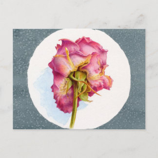 PARCHED WRINKLED ROSE POSTCARD