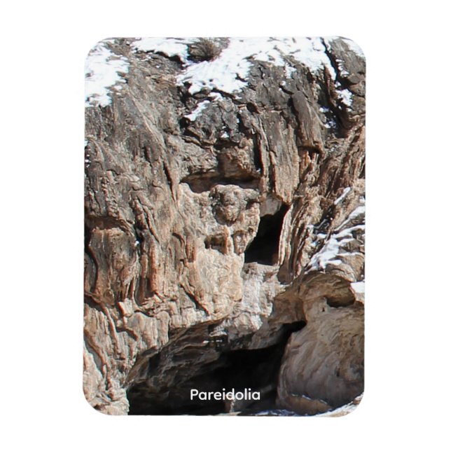Pareidolia Magnet (Vertical)