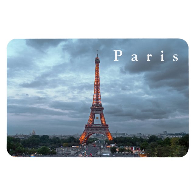 Paris # 30  magnet (Horizontal)
