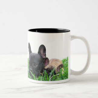 Paris and Monaco in the grass Two-Tone Coffee Mug