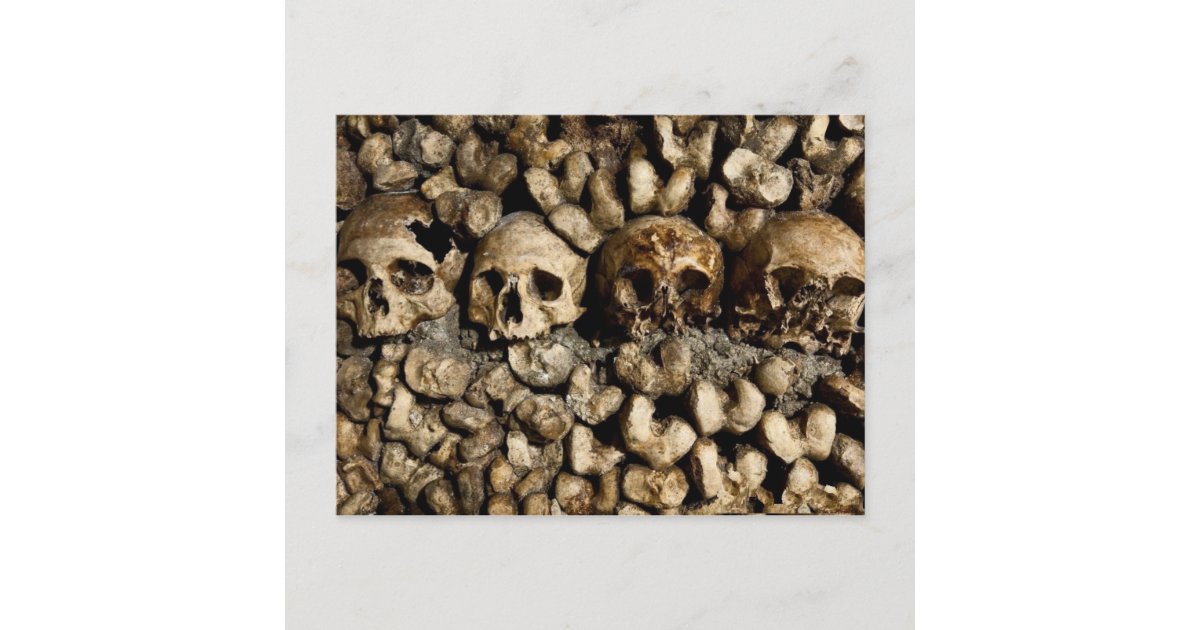 Paris Catacombs Skulls and Bones Postcard | Zazzle