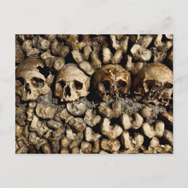Paris Catacombs Skulls and Bones Postcard (Front)